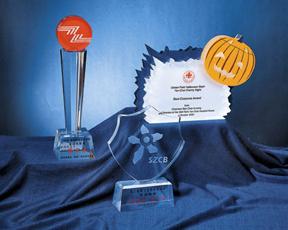 Customize Clear Acrylic Trophy Event Laser Engraved Award for Corporation