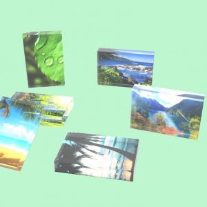 Customize Multi Color UV Printed Plexiglass Block