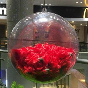 Party Supplies 50cm Clear Acrylic Ball